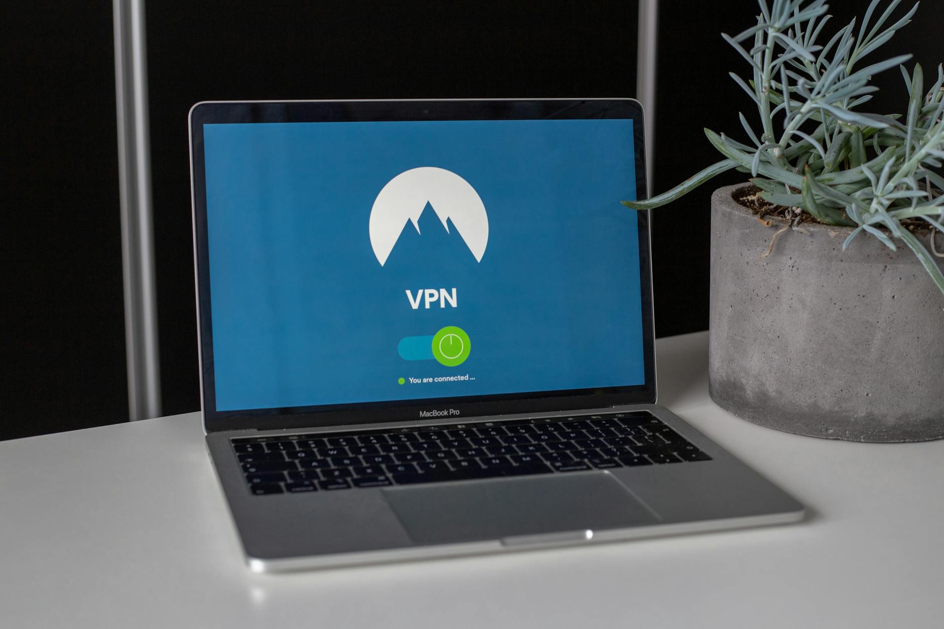 Laptop z włączonym VPN na biurku obok małej sukulentowej rośliny